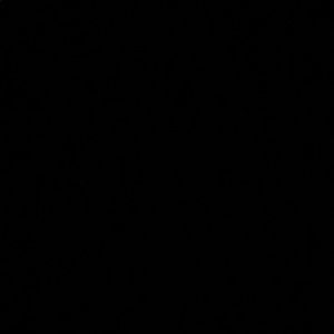 Meet your Posher, Sierra